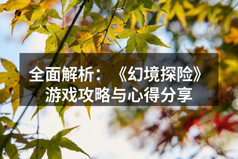 全面解析：《幻境探险》游戏攻略与心得分享